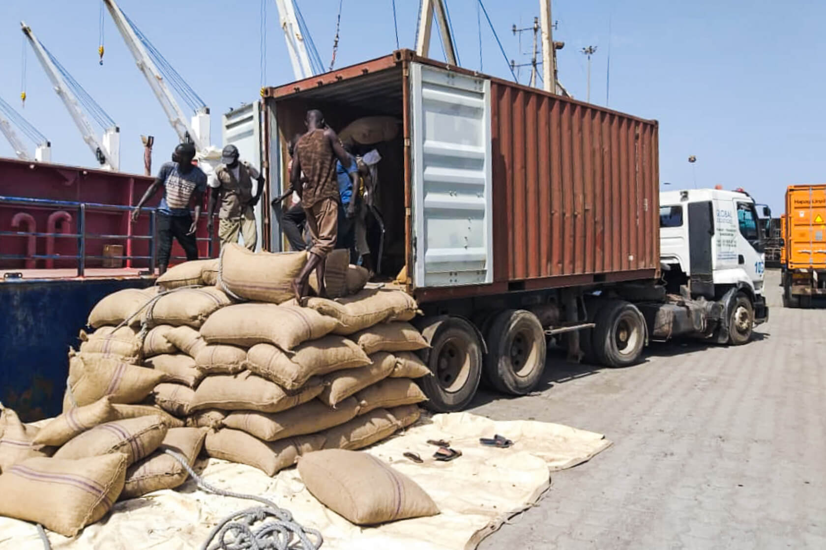 Wie die Cashew vom Senegal nach Indien kommt