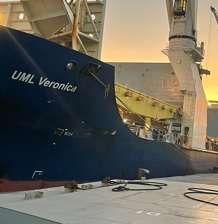 Eine Reise rund ums Kap der Guten Hoffnung