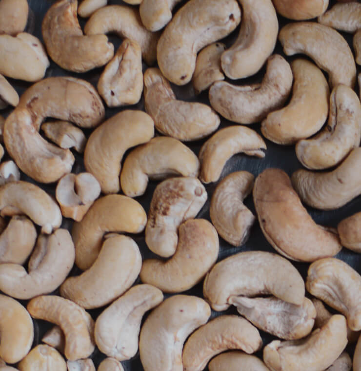 Wie die Cashew vom Senegal nach Indien kommt