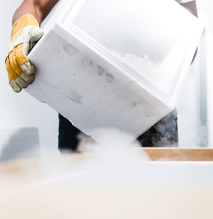 Verderbliche Güter erfordern eine besondere Behandlung: